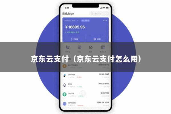 京东云支付（京东云支付怎么用）